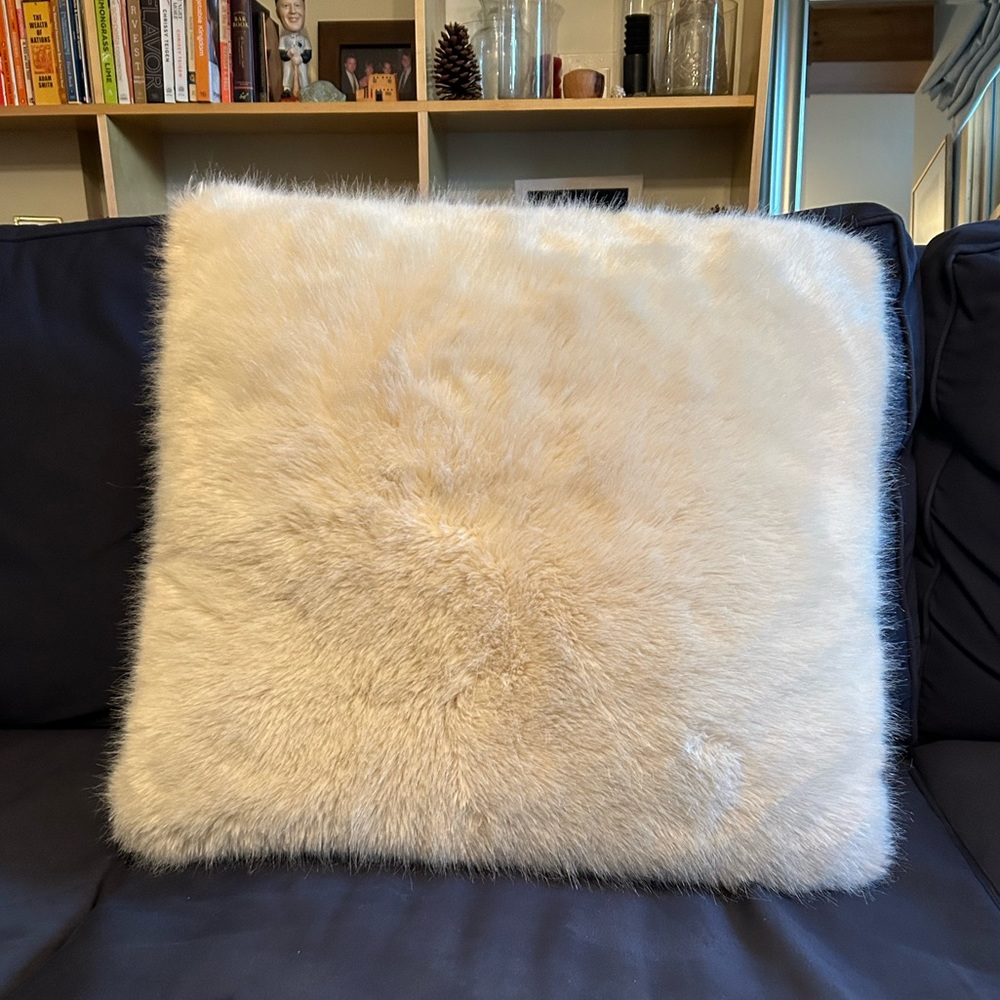Restoration Hardware Euro Throw Pillow cover